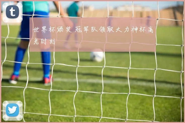 世界杯颁奖 冠军队领取大力神杯高光时刻