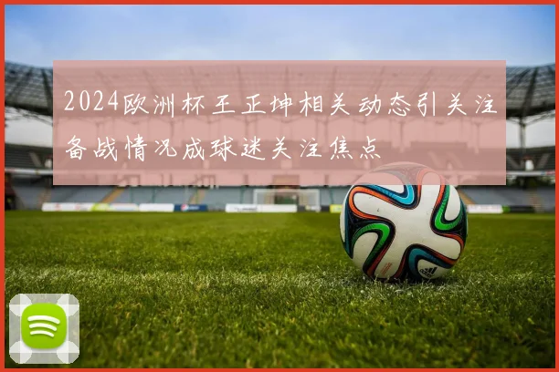 2024欧洲杯王正坤相关动态引关注备战情况成球迷关注焦点