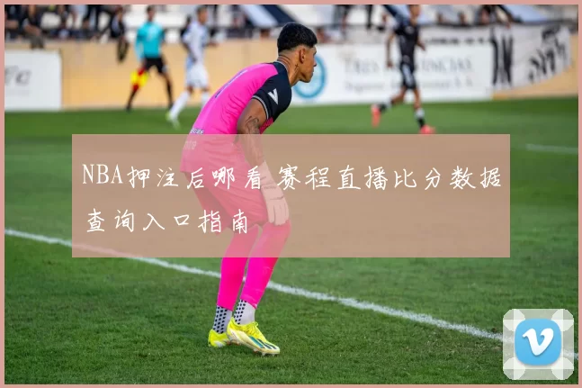 NBA押注后哪看 赛程直播比分数据查询入口指南